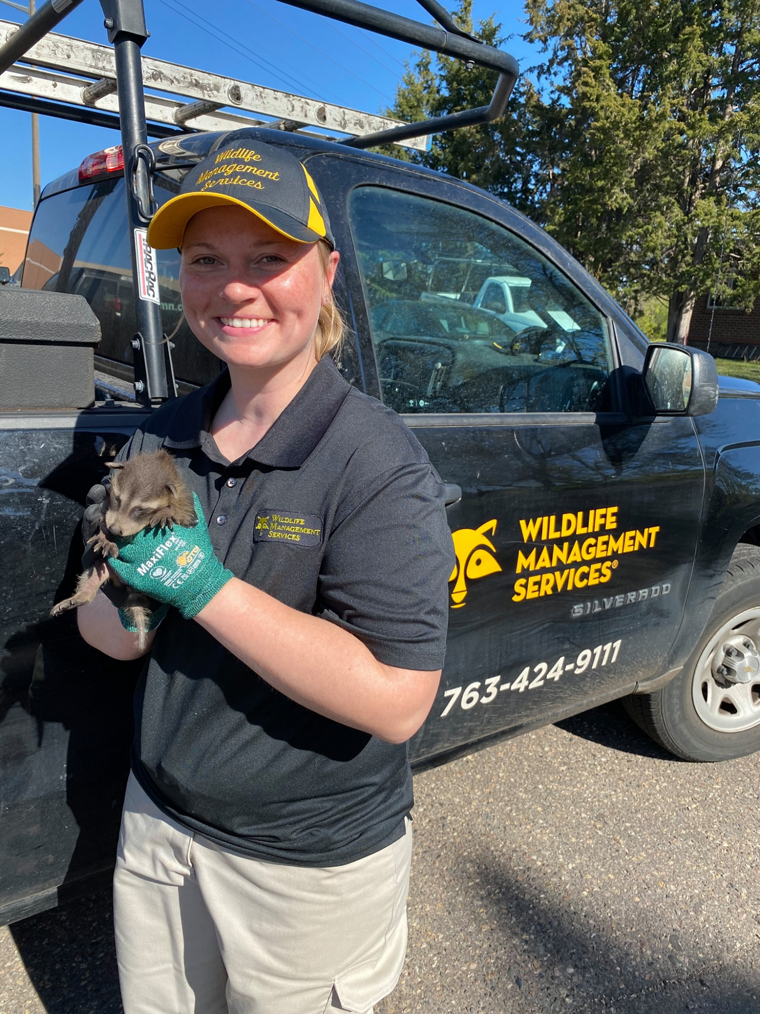 Brooklyn Park, MN Wildlife Removal